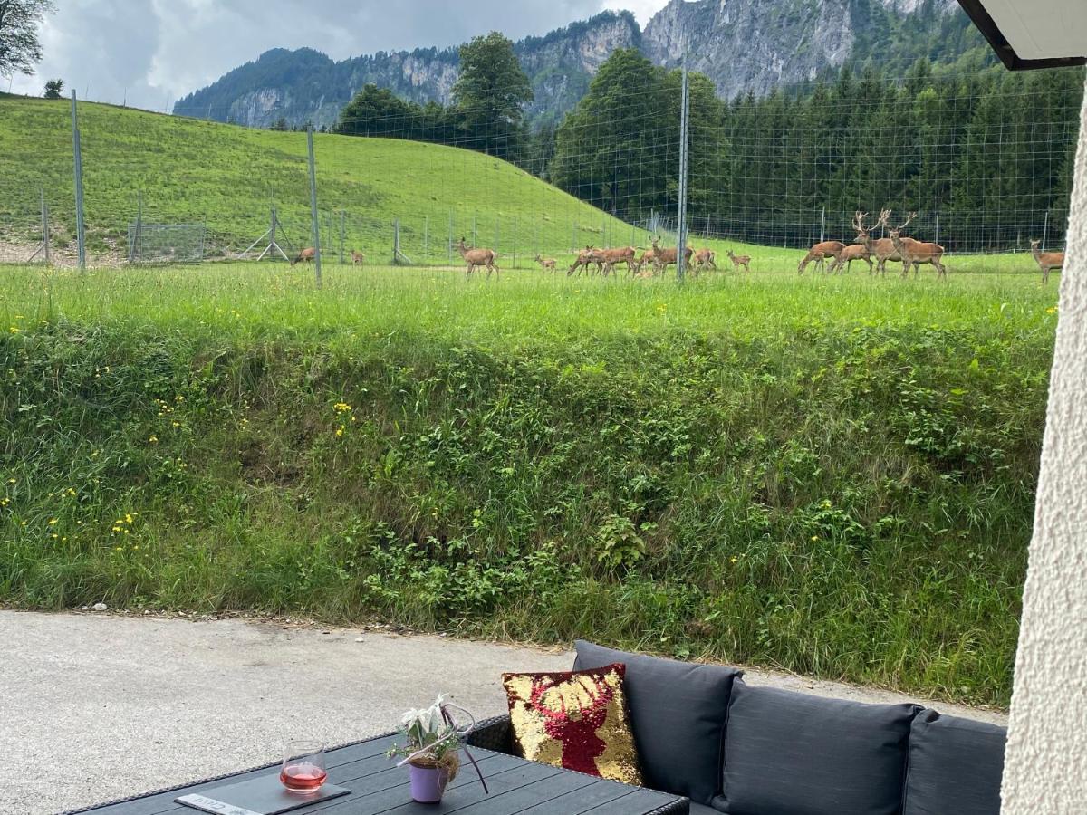 Berghof Haselsberger Appartements St. Johann in Tirol Kültér fotó